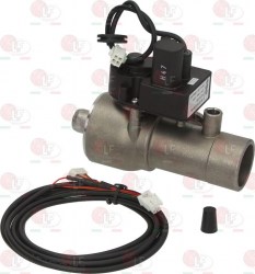 120255769_w640_h640_401889